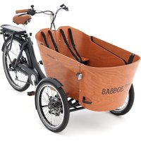 Babboe Flow-E 450 Wh