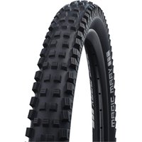 Schwalbe Magic Mary Perf. Park 29