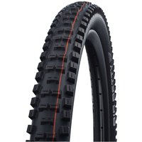 Schwalbe Big Betty Evo SG 29